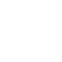 Icon Shirt